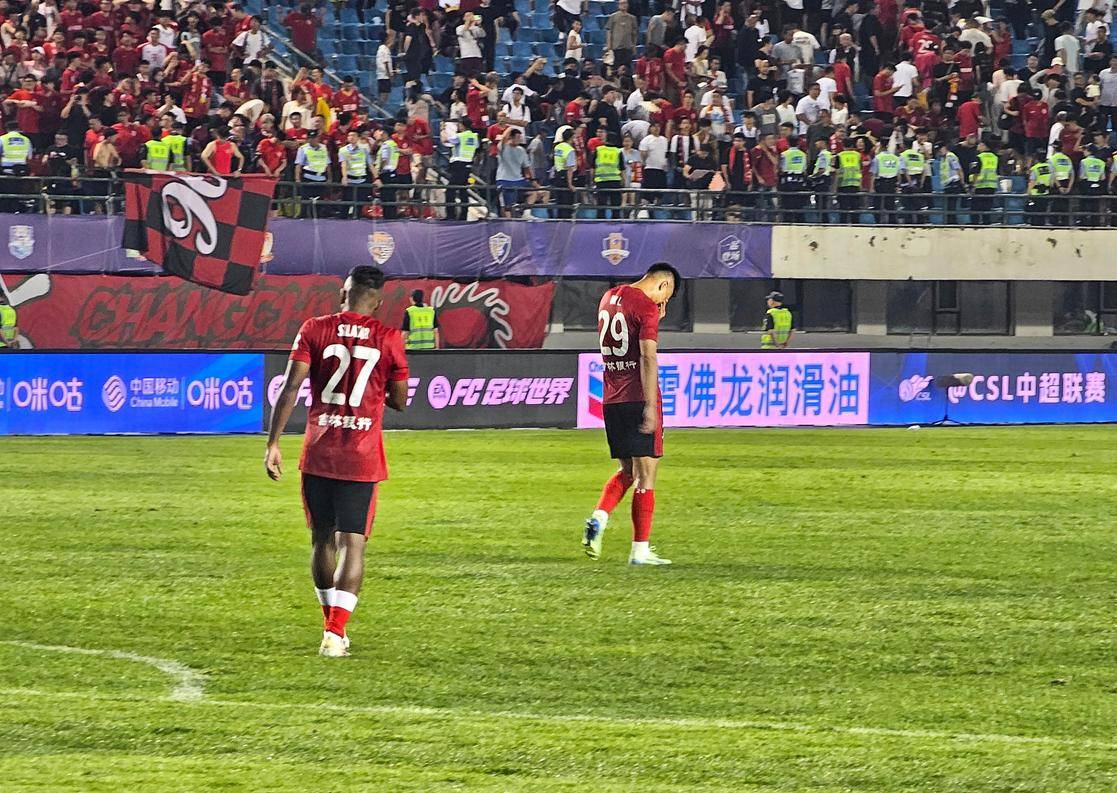 谌龙语录 谌龙语录