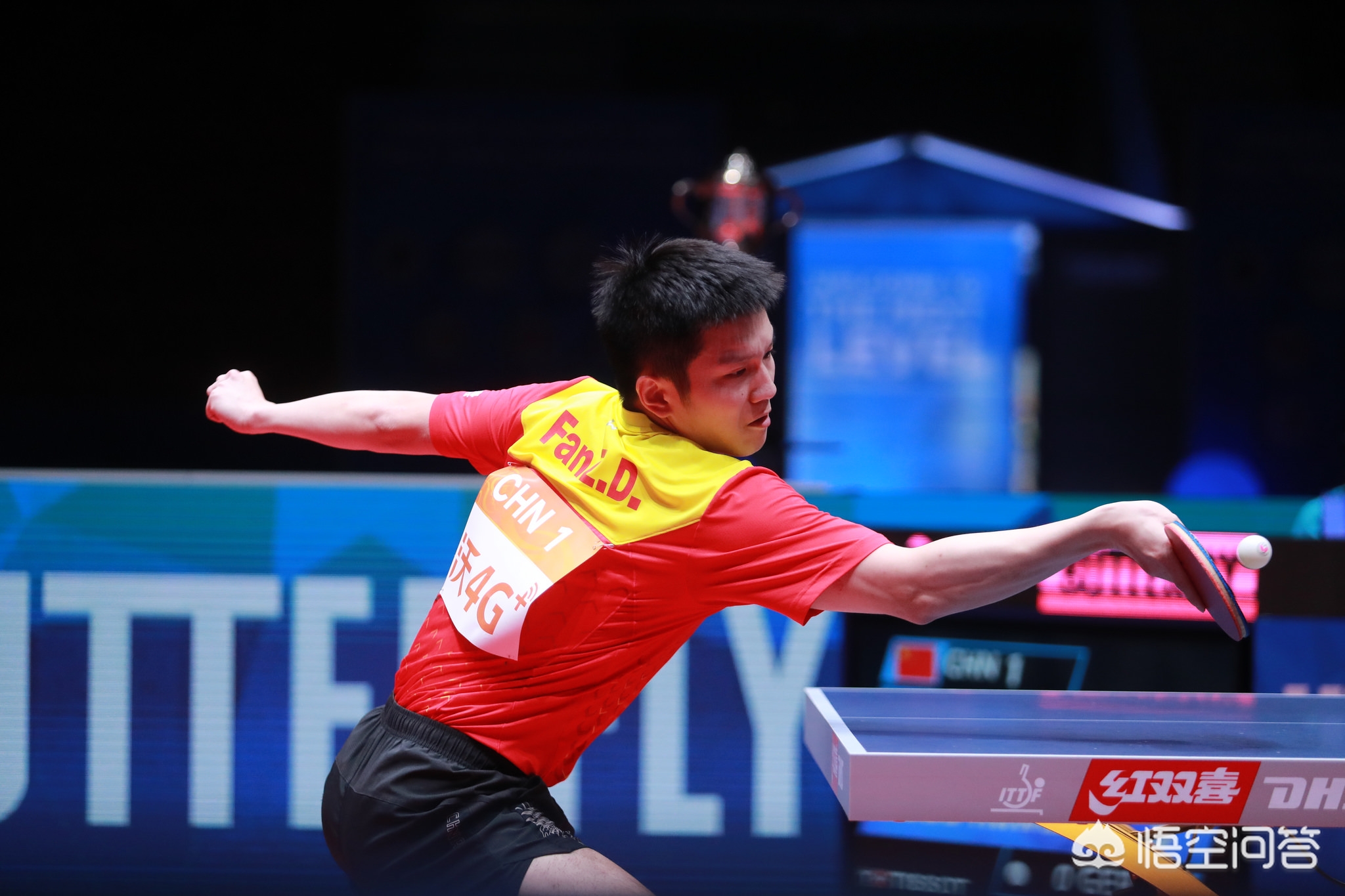 定不移的态 定不移的态